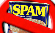 no spam